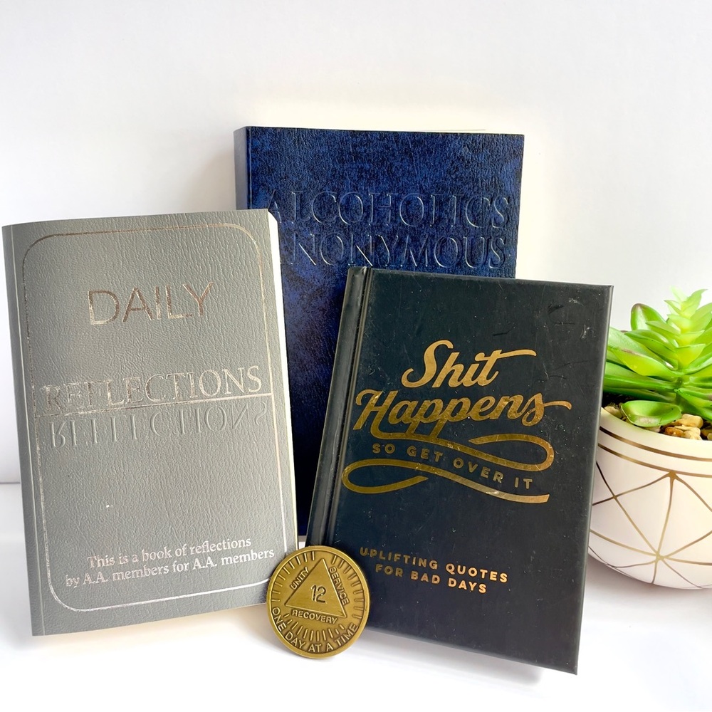 AA Gift Set ✦ Softcover Big Book + Daily Reflections + Shit Happens + REAL 12-Yr - Picture 3 of 9